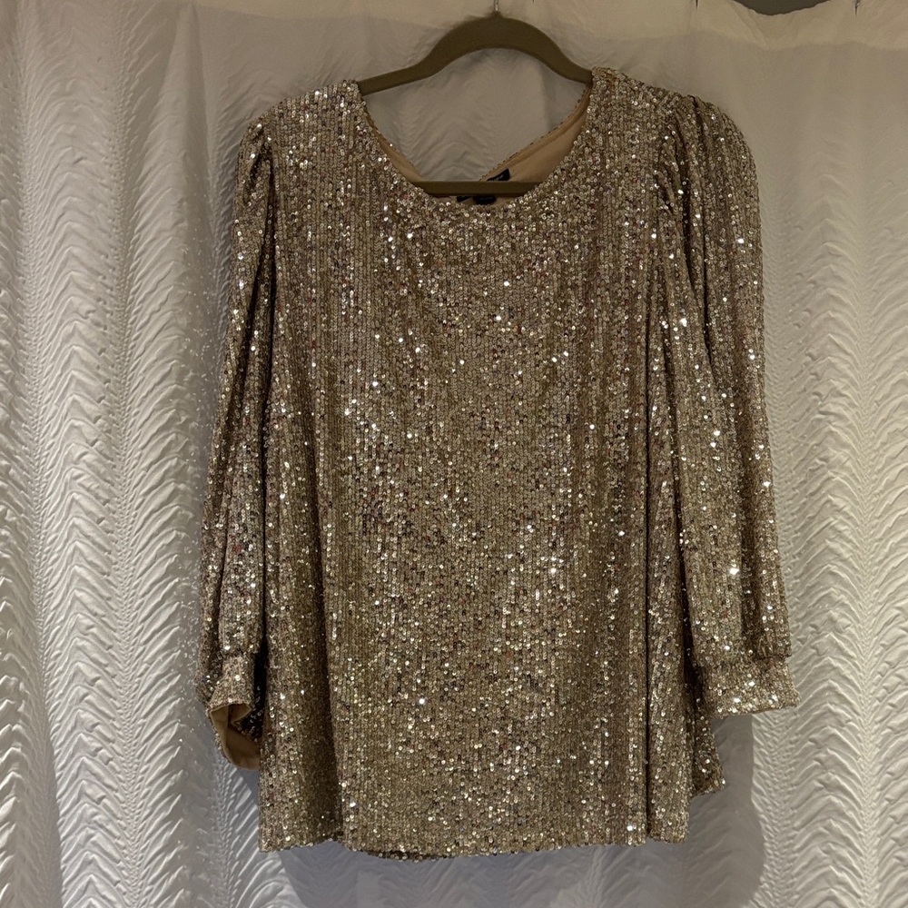 Cable & Gauge Sparkling Sequin Blouse